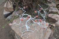 Hand Made Carnelian Wire Wrap Tree x 1 From KwaZulu, Natal, South Africa