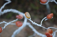 Hand Made Carnelian Wire Wrap Tree x 1 From KwaZulu, Natal, South Africa