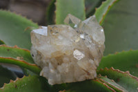 Natural Citrine and Smokey Quartz Crystals and Clusters x 4 From Luena, Congo