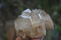 Natural Citrine and Smokey Quartz Crystals and Clusters x 4 From Luena, Congo