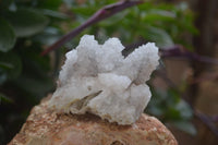 Natural Drusy Quartz Coated Calcite Pseudomorph Specimens x 6 From Alberts Mountain, Lesotho