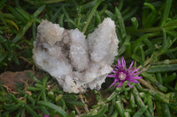 Natural Drusy Quartz Coated Calcite Pseudomorph Specimens x 6 From Alberts Mountain, Lesotho