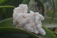 Natural Drusy Quartz Coated Calcite Pseudomorph Specimens x 6 From Alberts Mountain, Lesotho