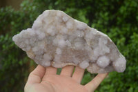 Natural Amethyst Spirit Quartz Clusters x 1 From Boekenhouthoek, South Africa