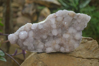 Natural Amethyst Spirit Quartz Clusters x 1 From Boekenhouthoek, South Africa