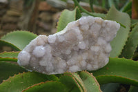 Natural Amethyst Spirit Quartz Clusters x 1 From Boekenhouthoek, South Africa