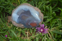 Polished On One Side Red Sashe River Agate Nodules x 12 From Zimbabwe