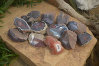 Polished On One Side Red Sashe River Agate Nodules x 12 From Zimbabwe