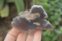 Polished On One Side Red Sashe River Agate Nodules x 12 From Zimbabwe