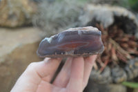 Polished On One Side Red Sashe River Agate Nodules x 12 From Zimbabwe