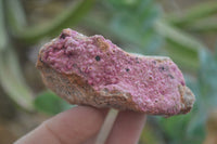 Natural Salrose Cobaltion Dolomite with malachite Specimens x 12 From Kakanda, Congo