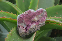 Natural Salrose Cobaltion Dolomite with malachite Specimens x 12 From Kakanda, Congo