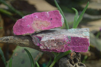 Natural Salrose Cobaltion Dolomite with malachite Specimens x 12 From Kakanda, Congo