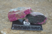 Natural Salrose Cobaltion Dolomite with malachite Specimens x 12 From Kakanda, Congo