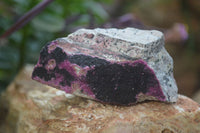 Natural Salrose Cobaltion Dolomite with malachite Specimens x 12 From Kakanda, Congo