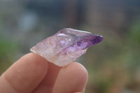 Natural Smokey Window Amethyst Crystals and Scepters x 35 From Chiredzi, Zimbabwe