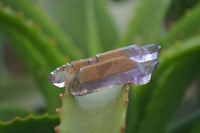 Natural Smokey Window Amethyst Crystals and Scepters x 35 From Chiredzi, Zimbabwe