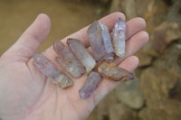 Natural Smokey Window Amethyst Crystals and Scepters x 35 From Chiredzi, Zimbabwe