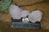 Natural Amethyst and Ametrine Cactus Flower Spirit Quartz Clusters x 12 From Boekenhouthoek, South Africa