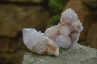 Natural Amethyst and Ametrine Cactus Flower Spirit Quartz Clusters x 12 From Boekenhouthoek, South Africa