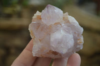 Natural Amethyst and Ametrine Cactus Flower Spirit Quartz Clusters x 12 From Boekenhouthoek, South Africa