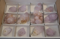 Natural Amethyst and Ametrine Cactus Flower Spirit Quartz Clusters x 12 From Boekenhouthoek, South Africa