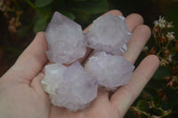 Natural Amethyst and Ametrine Cactus Flower Spirit Quartz Clusters x 12 From Boekenhouthoek, South Africa