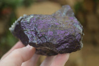 Natural Rare Metallic Purpurite Cobbed Specimens x 3 From Erongo, Namibia