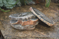 Polished Petrified Wood Slices x 6 From Gokwe, Zimbabwe