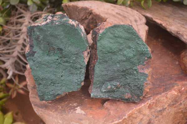 Natural Botryoidal Malachite Specimens x 3 From Congo