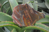 Polished On One Side Nguni Jasper Specimens x 2 From Prieska, South Africa