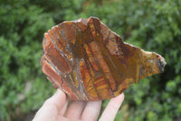 Polished On One Side Nguni Jasper Specimens x 2 From Prieska, South Africa