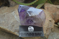 Polished Amethyst Window Quartz Crystals x 3 From Akansobe, Madagascar