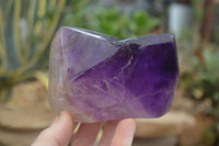 Polished Amethyst Window Quartz Crystals x 3 From Akansobe, Madagascar