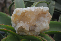 Natural Golden Limonite Quartz Clusters x 3 From Solwezi, Zambia