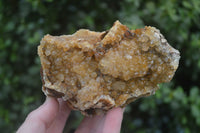 Natural Golden Limonite Quartz Clusters x 3 From Solwezi, Zambia