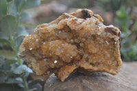 Natural Golden Limonite Quartz Clusters x 3 From Solwezi, Zambia