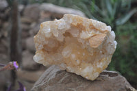 Natural Golden Limonite Quartz Clusters x 3 From Solwezi, Zambia