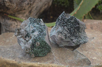 Natural Libethenite Crystals On Dolomite Matrix Specimens x 2 From Shituru, Congo