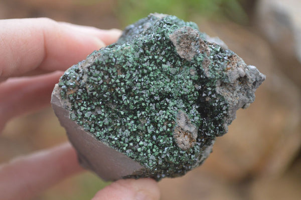 Natural Libethenite Crystals On Dolomite Matrix Specimens x 2 From Shituru, Congo