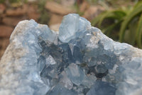 Natural XL Large Celestite Geode Specimen x 1 From Sakoany, Madagascar