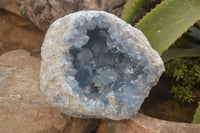 Natural XL Large Celestite Geode Specimen x 1 From Sakoany, Madagascar