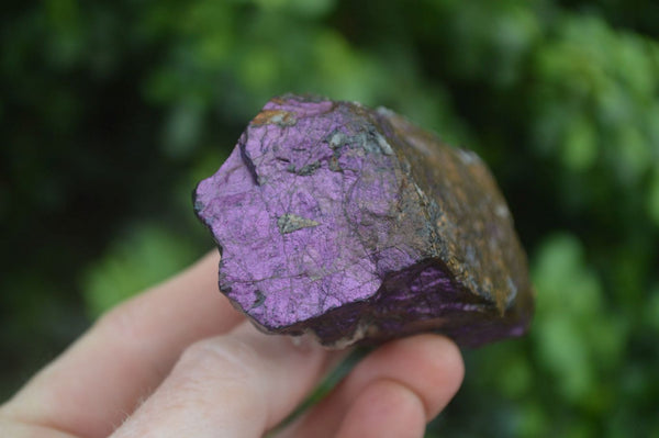 Natural Rare Metallic Purpurite Cobbed Specimens x 6 From Erongo, Namibia