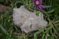 Natural Clear Quartz Crystal Clusters x 12 From Madagascar