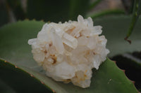 Natural Clear Quartz Crystal Clusters x 12 From Madagascar