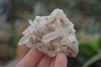 Natural Clear Quartz Crystal Clusters x 12 From Madagascar