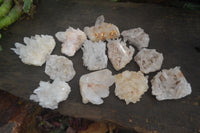 Natural Clear Quartz Crystal Clusters x 12 From Madagascar