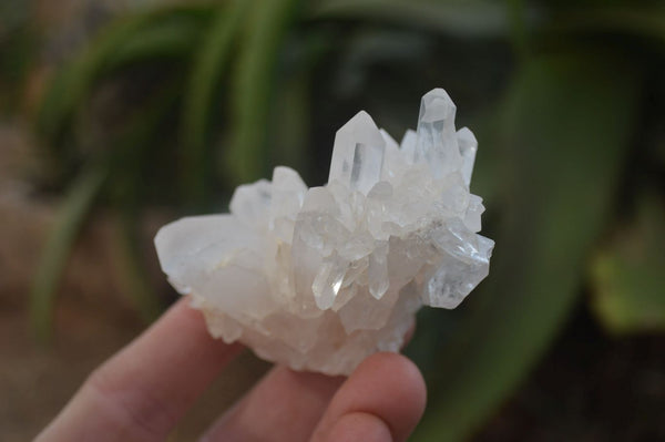 Natural Clear Quartz Crystal Clusters x 12 From Madagascar