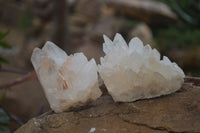 Natural Clear Quartz Crystal Clusters x 12 From Madagascar