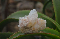 Natural Clear Quartz Crystal Clusters x 12 From Madagascar